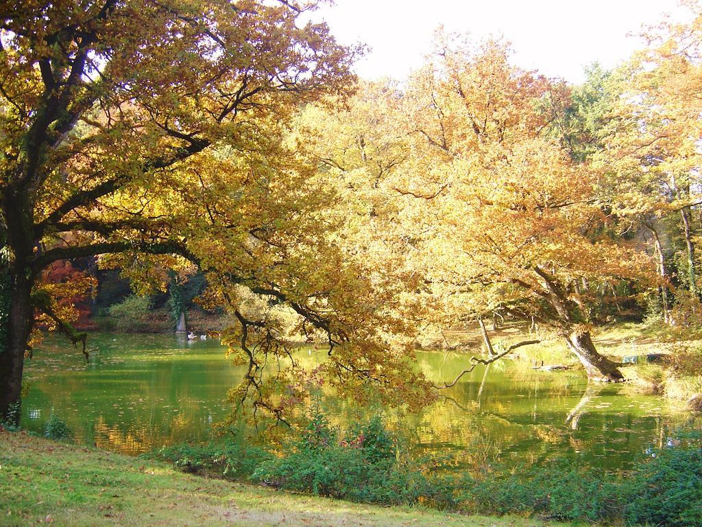 Chateau Du Bois Glaume Poligné Szoba fotó